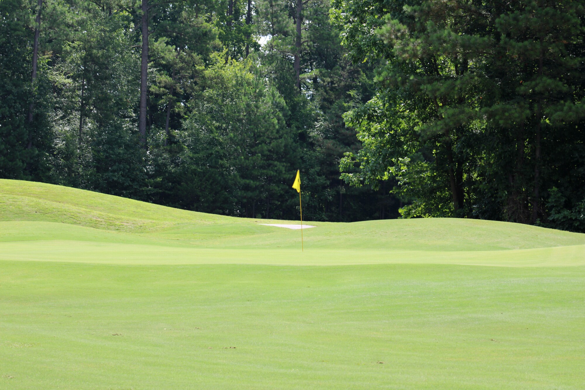 View of golf course green